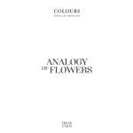 Trend Union Colours SS 2026 | ANALOGY OF FLOWERS